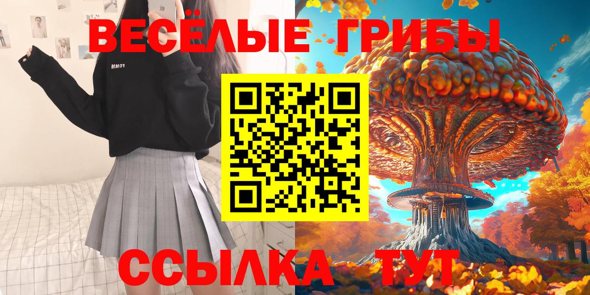 купить закладку  Вход с VPN  Псилоцибиновые грибы мухоморы  Верхняя Пышма  Псилоцибиновые грибы прущие грибы 