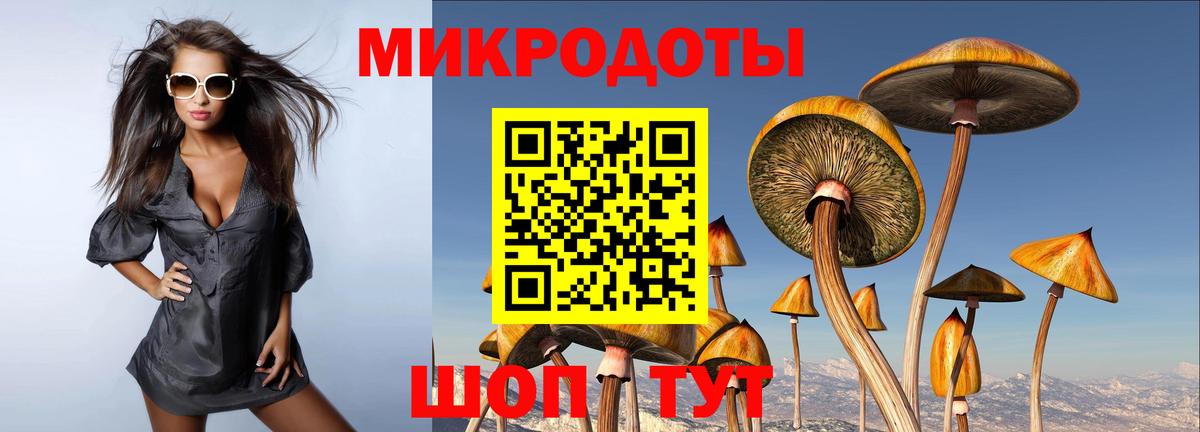 Псилоцибиновые грибы Magic Shrooms Верхняя Пышма